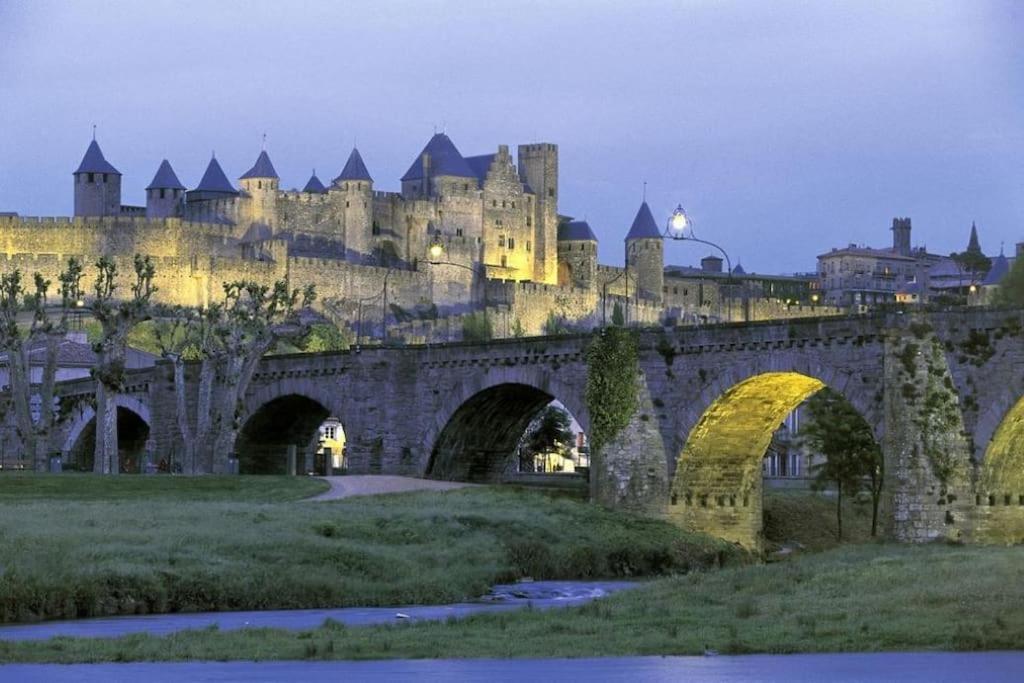 Maison Sur Les Hauteurs De Carcassonne Luaran gambar